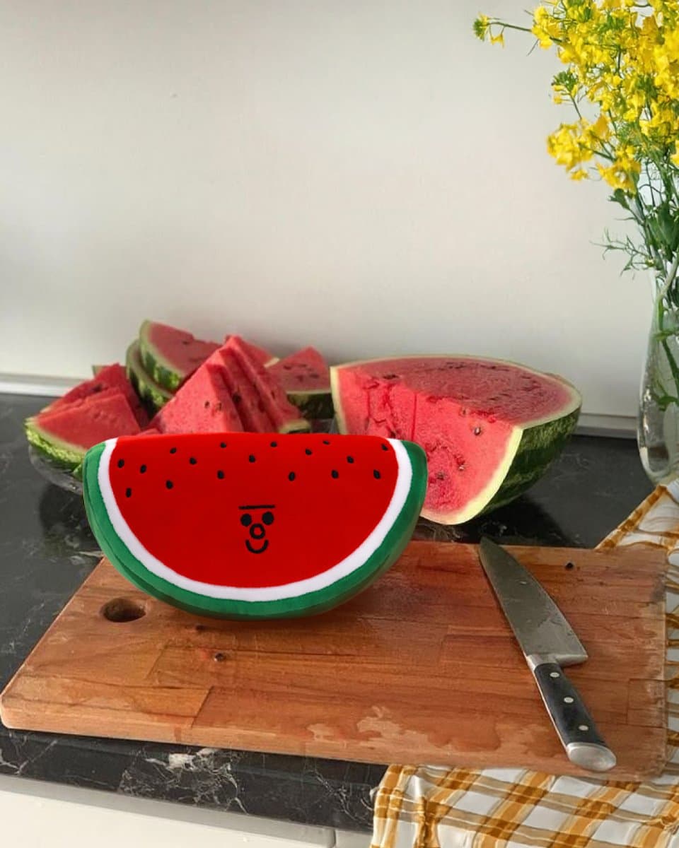 GENTLE WATERMELON 3